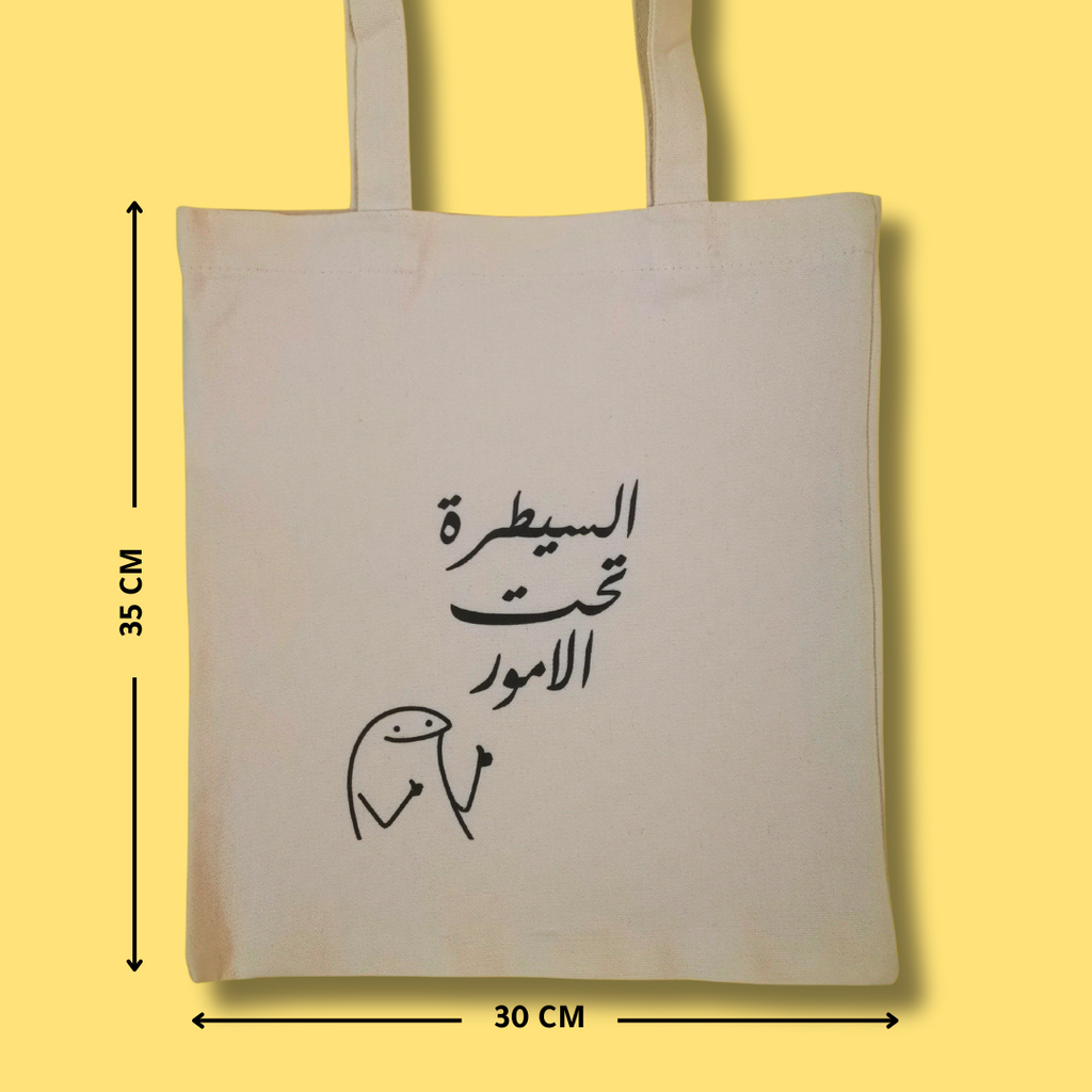 حقيبة الامور تحت السيطرة