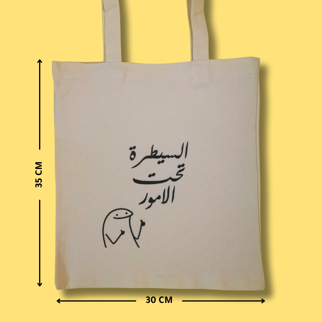 حقيبة الامور تحت السيطرة