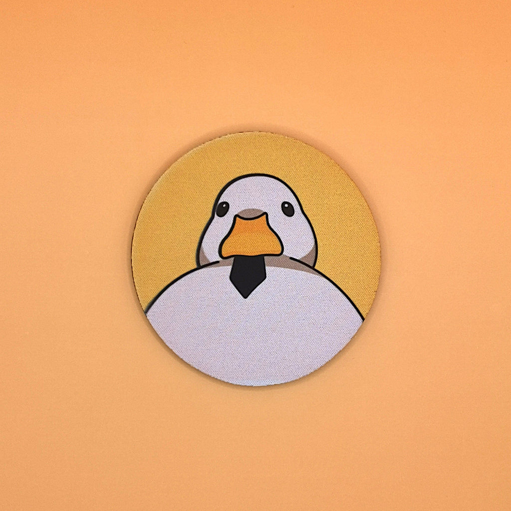 كوستر البطة