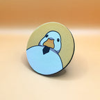 كوستر البطة