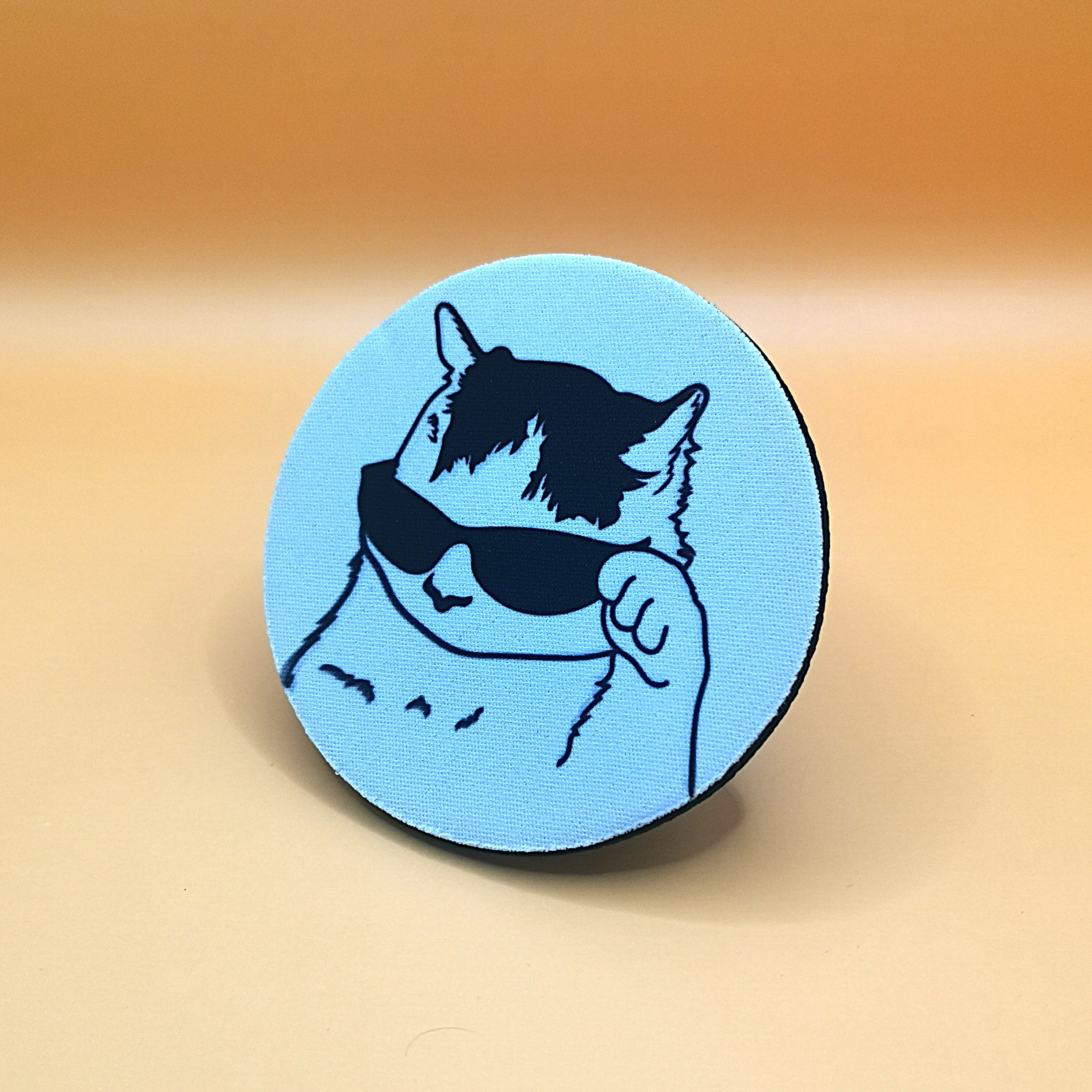 كوستر القطة